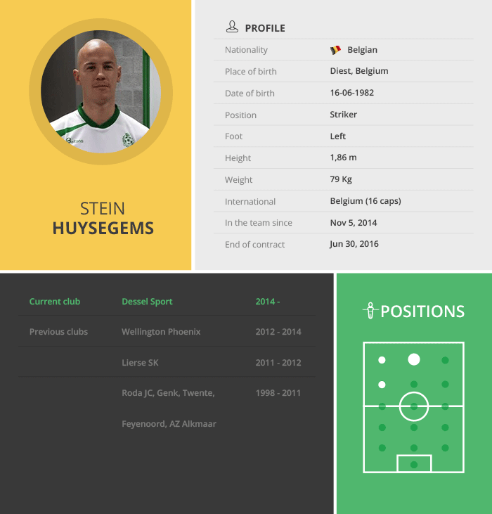 Stein Huysegems Profile